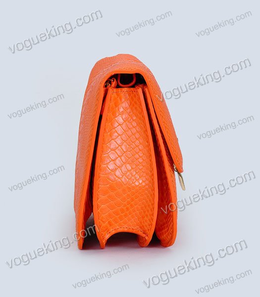 Celine Classic Box Small Flap Bag Orange Snake Veins Calfskin-2