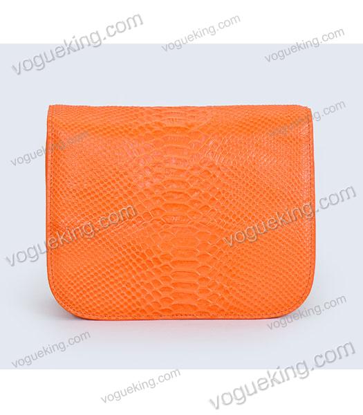 Celine Classic Box Small Flap Bag Orange Snake Veins Calfskin-3