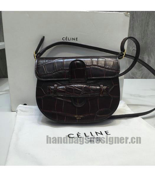 Celine Original Croc Veins Small Crossbody Bag Coffee-2
