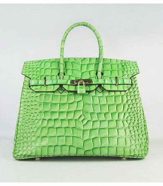 Hermes Birkin 35cm Bag Light Green Big Croc Veins Golden Metal