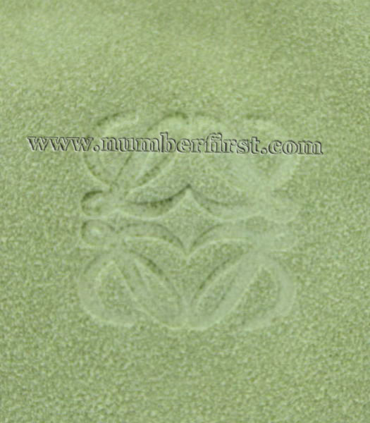 Loewe Amazone Nubuck Suede Leather Bag in Green_Dark Coffee_Fuchsia-3