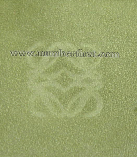 Loewe Amazone Nubuck Suede Leather Small Bag in Green_Dark Coffee_Fuchsia-3