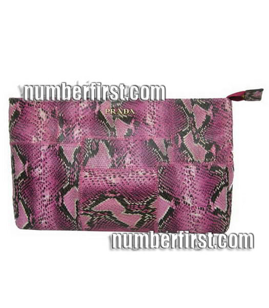 Prada Colors Leather Snake Veins Clutch Bag -1-1