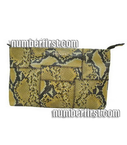 Prada Colors Leather Snake Veins Clutch Bag -1-2